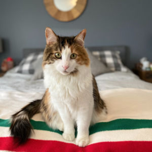 Meet your Posher, Alix